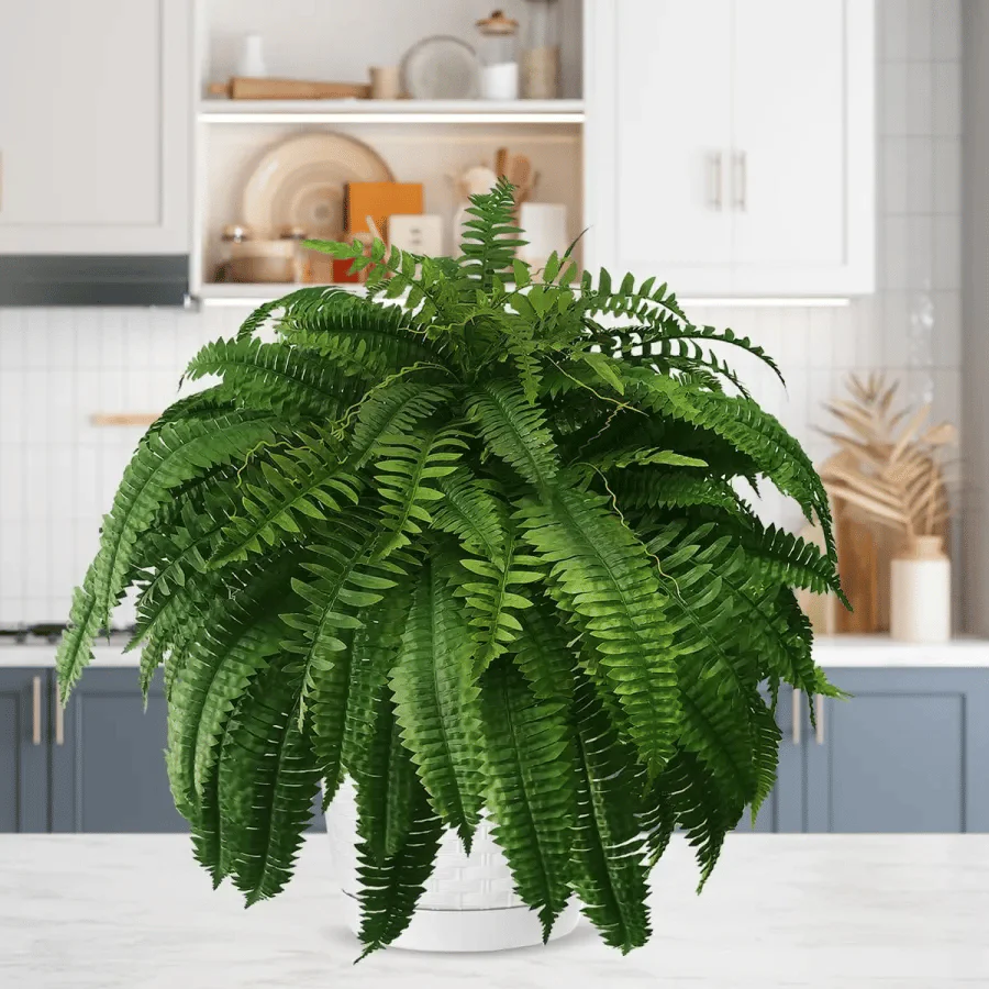 🔥Letzter Tag: 80 % Rabatt!🔥 – UV-beständiger, naturgetreuer künstlicher Bostonfarn - Image 10