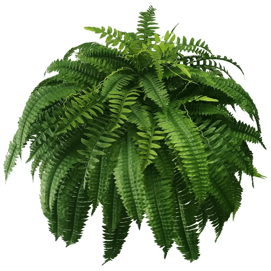 Last Day 75% OFF--UV Resistant Lifelike Artificial Boston Fern - Image 12