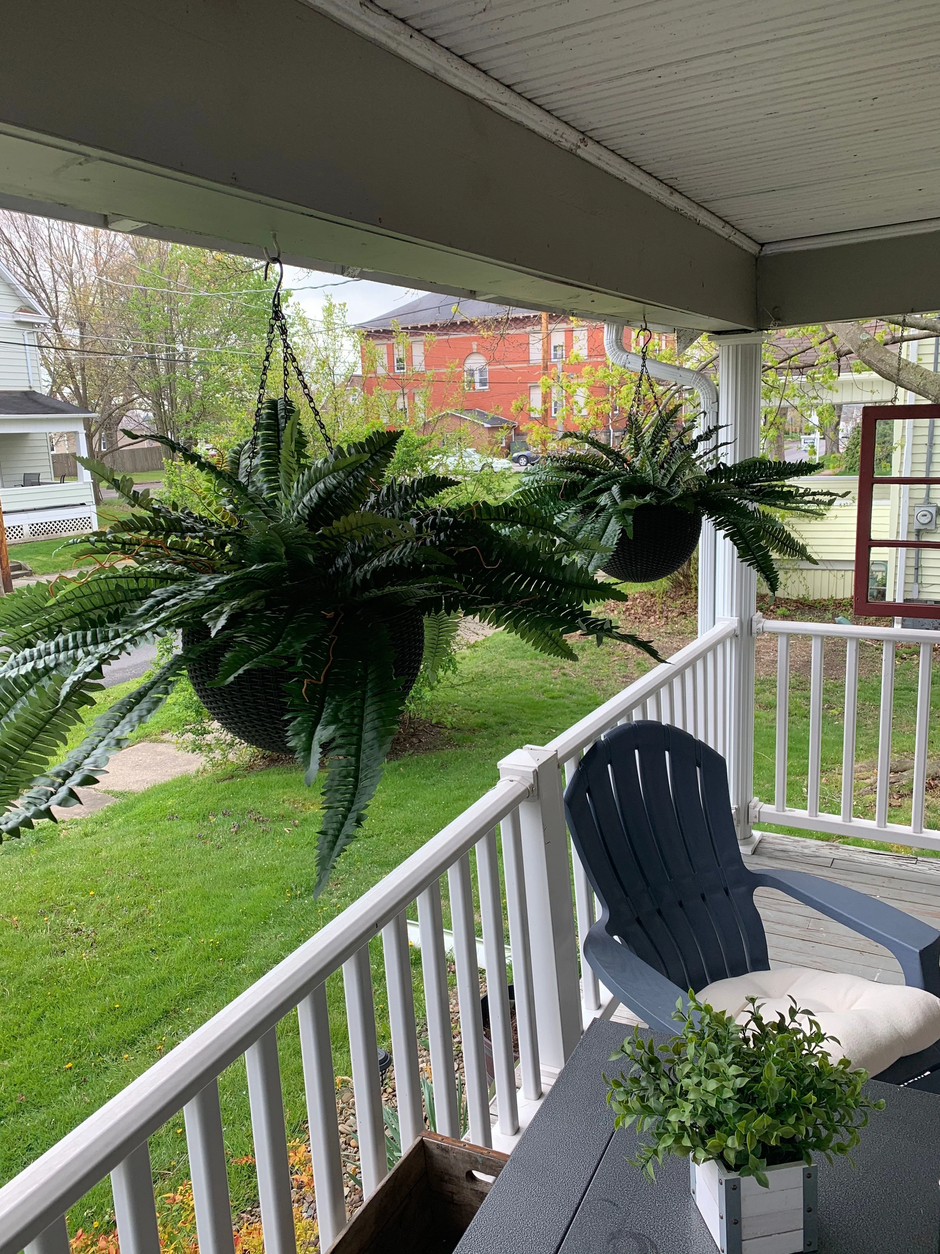 Last Day 75% OFF--UV Resistant Lifelike Artificial Boston Fern - Image 6